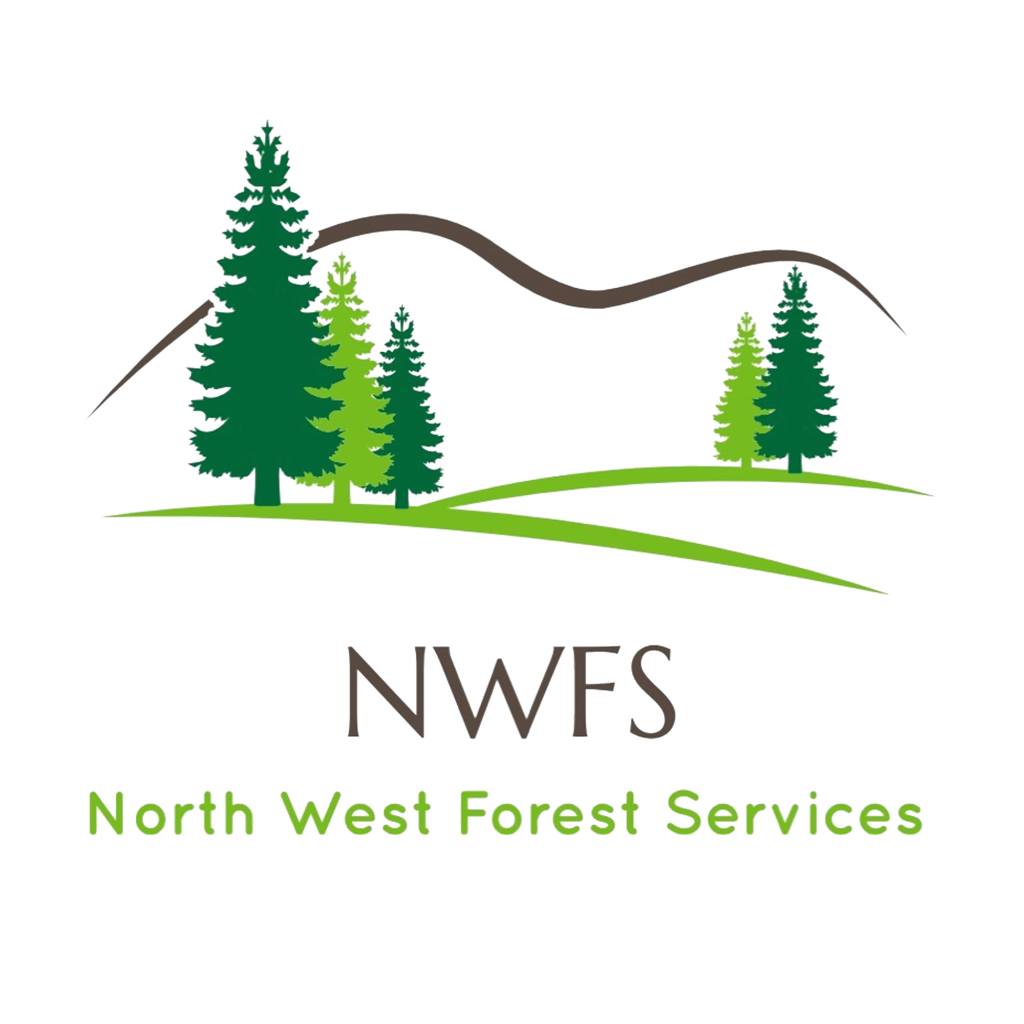 Collection 97+ Wallpaper 1366x768 Assassin's Creed Origins Background